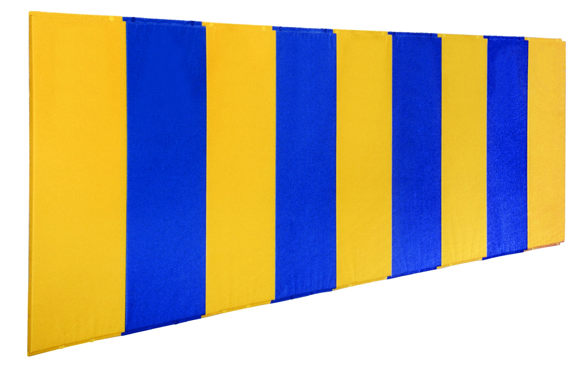First Team BodyGuard™ Protective Wall Padding
